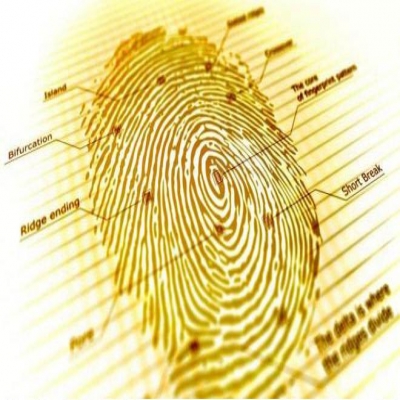 2019年政府工作報告和濾光片的發展